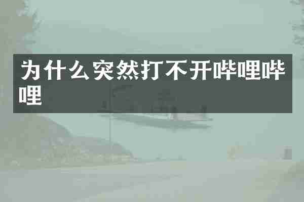 为什么突然打不开哔哩哔哩