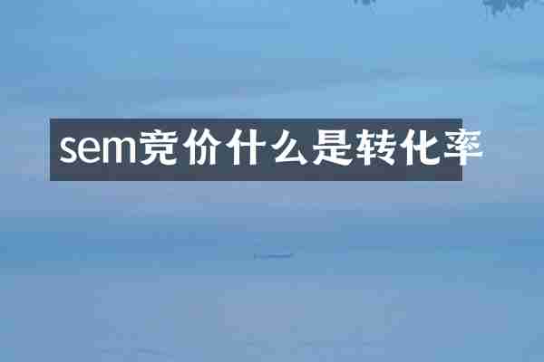 sem竞价什么是转化率