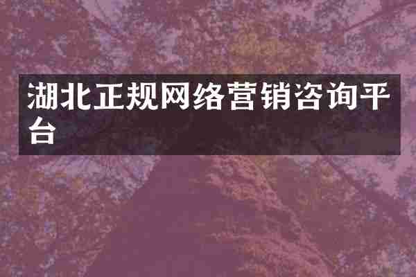 湖北正规网络营销咨询平台
