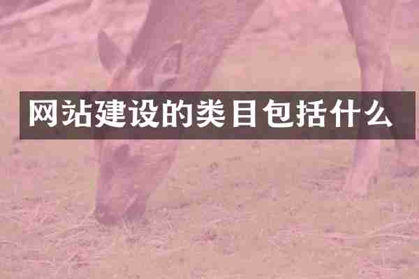网站建设的类目包括什么