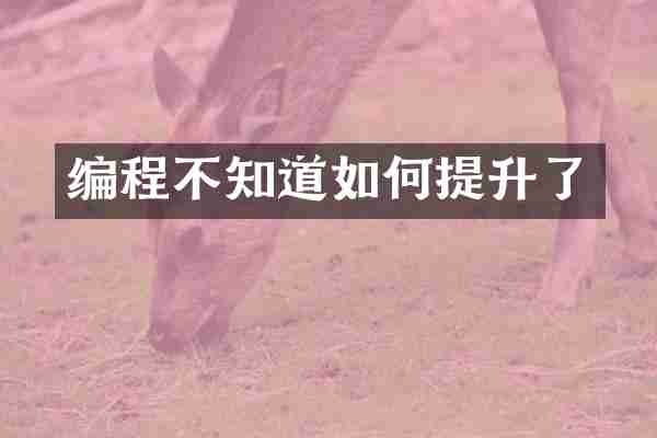编程不知道如何提升了