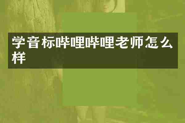 学音标哔哩哔哩老师怎么样