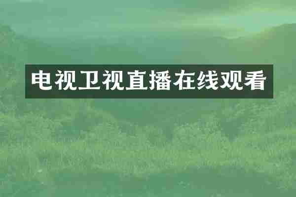 电视卫视直播在线观看
