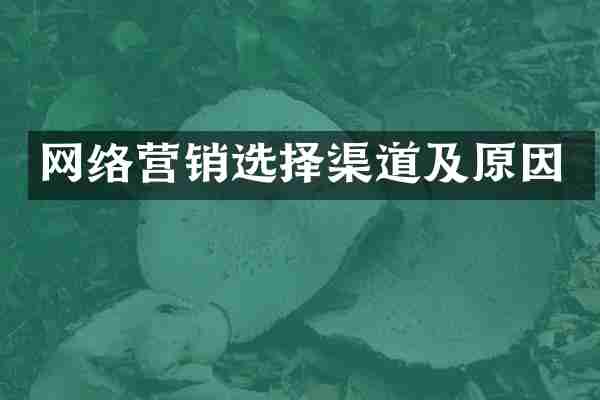 网络营销选择渠道及原因