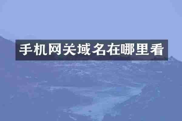 手机网关域名在哪里看