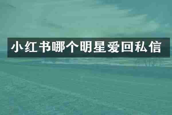 小红书哪个明星爱回私信