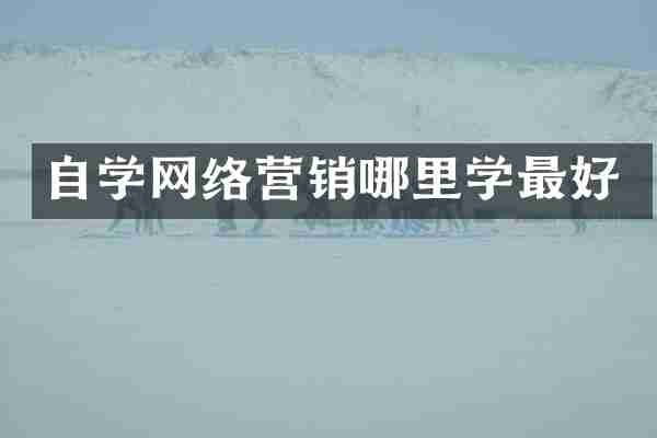 自学网络营销哪里学最好