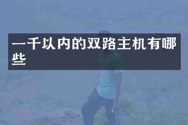一千以内的双路主机有哪些
