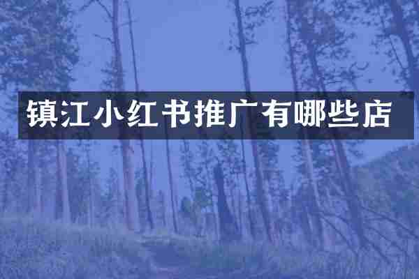 镇江小红书推广有哪些店