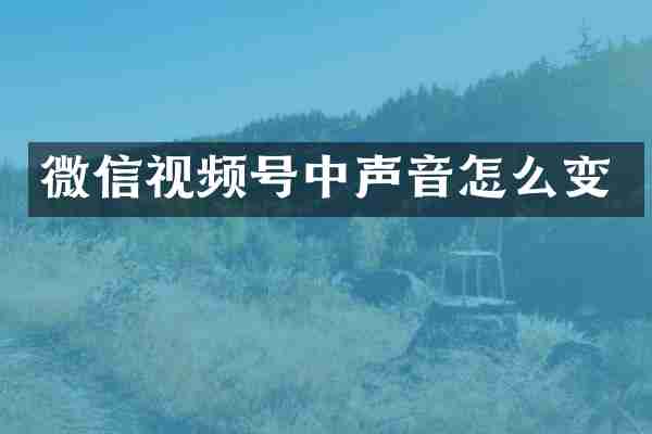 微信视频号中声音怎么变