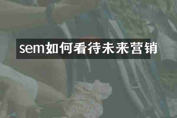 sem如何看待未来营销
