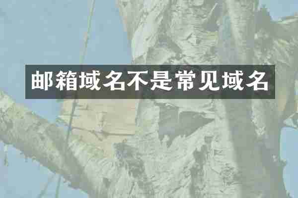 邮箱域名不是常见域名