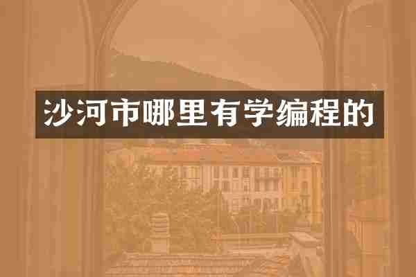 沙河市哪里有学编程的