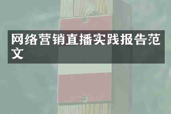 网络营销直播实践报告范文