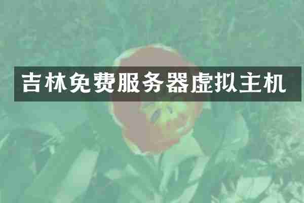 吉林免费服务器虚拟主机