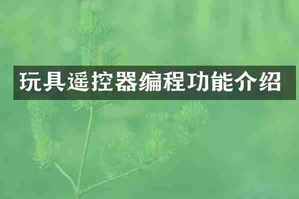 玩具遥控器编程功能介绍