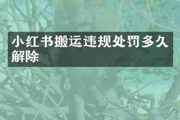 小红书搬运违规处罚多久解除