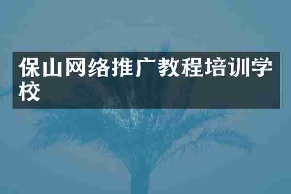 保山网络推广教程培训学校
