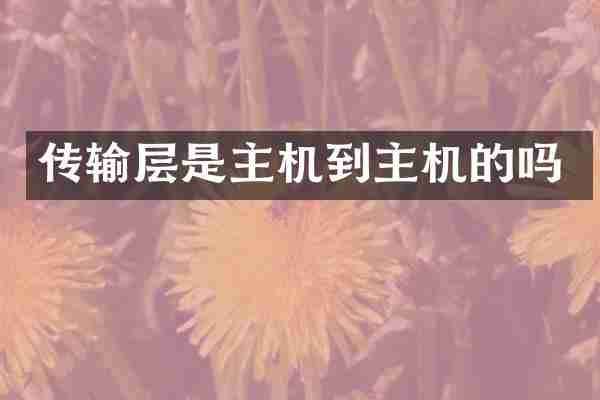 传输层是主机到主机的吗