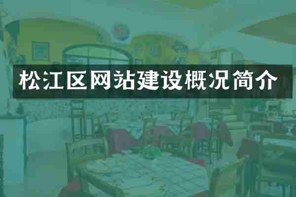 松江区网站建设概况简介