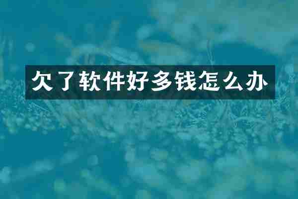 欠了软件好多钱怎么办