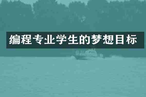编程专业学生的梦想目标