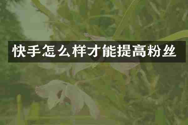 快手怎么样才能提高粉丝