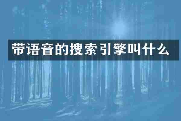 带语音的搜索引擎叫什么