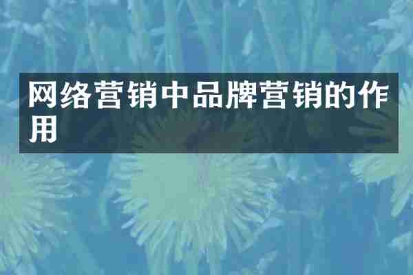 网络营销中品牌营销的作用