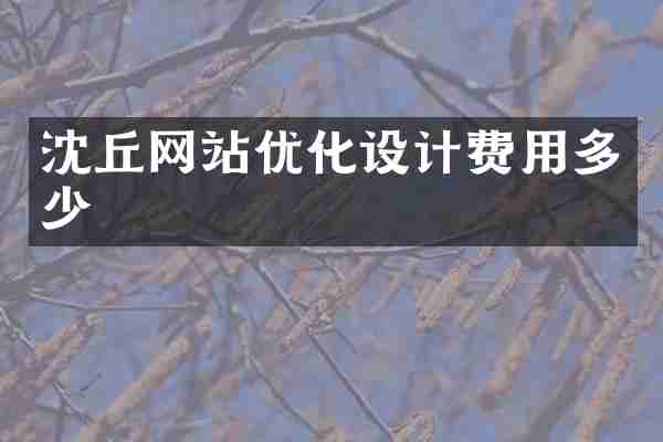 沈丘网站优化设计费用多少