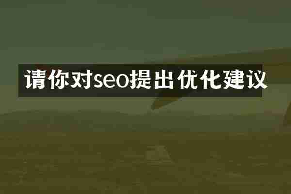 请你对seo提出优化建议