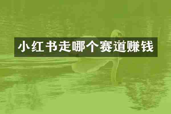 小红书走哪个赛道赚钱