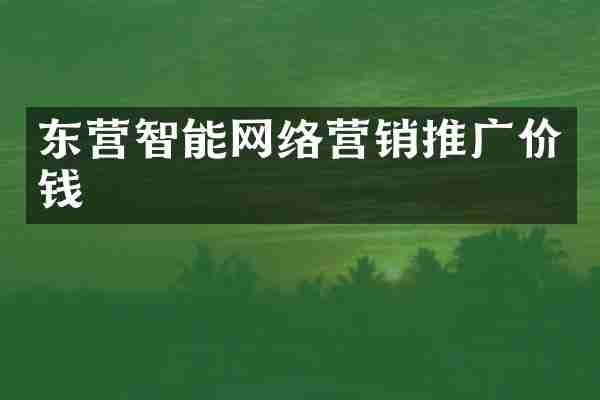 东营智能网络营销推广价钱