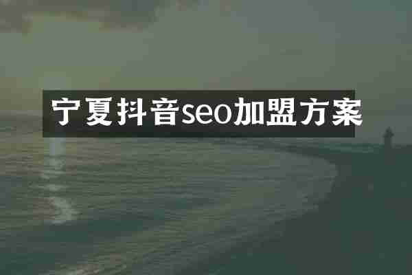 宁夏抖音seo加盟方案