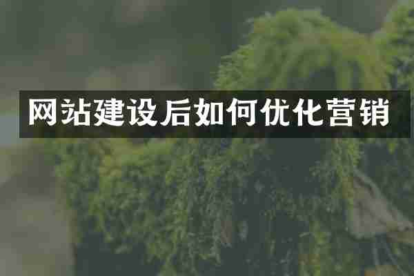 网站建设后如何优化营销