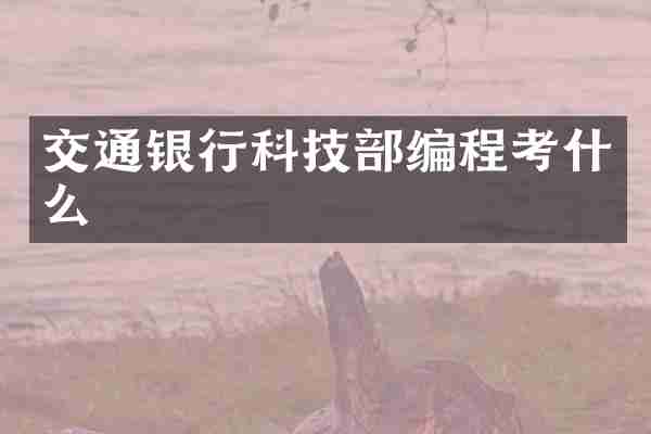 交通银行科技部编程考什么