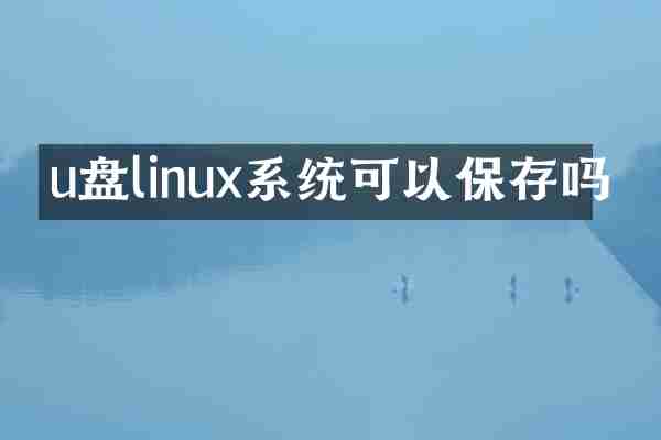 u盘linux系统可以保存吗