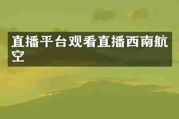 直播平台观看直播西南航空