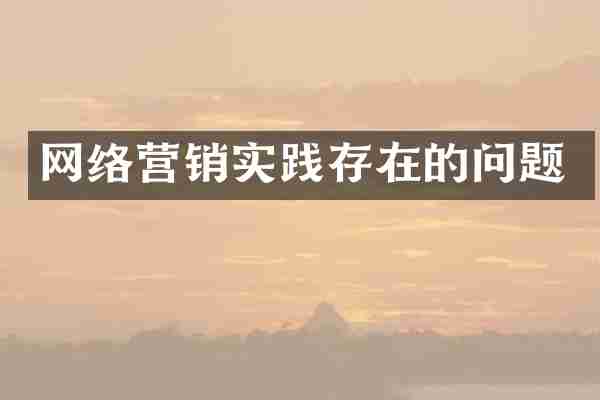 网络营销实践存在的问题