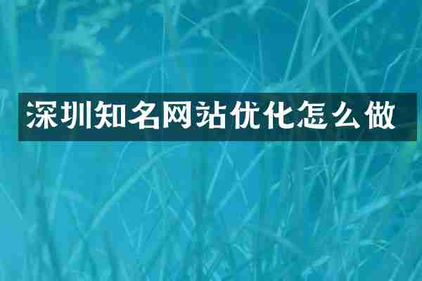 深圳知名网站优化怎么做