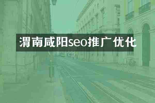 渭南咸阳seo推广优化