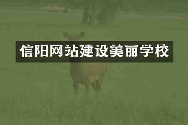 信阳网站建设美丽学校