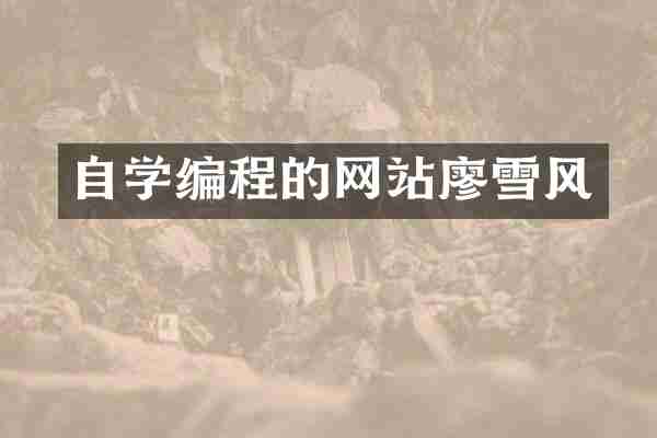 自学编程的网站廖雪风