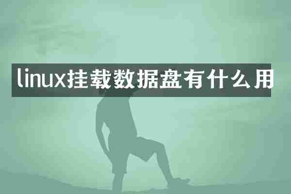 linux挂载数据盘有什么用