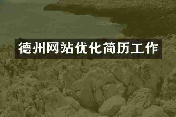 德州网站优化简历工作