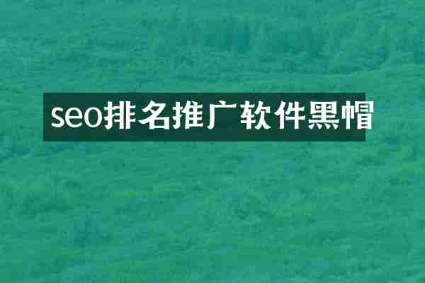 seo排名推广软件黑帽