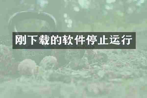 刚下载的软件停止运行