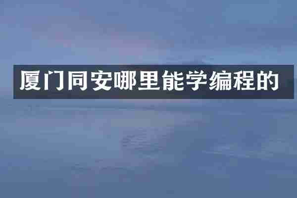 厦门同安哪里能学编程的