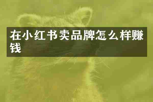 在小红书卖品牌怎么样赚钱