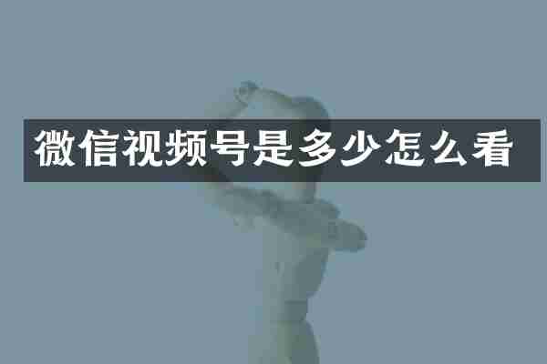 微信视频号是多少怎么看